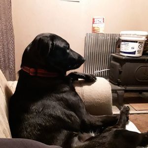 Meet your Posher, Gregg